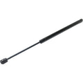 Lift Support for Dodge Caliber (2007–2009) Liftgate Driver/Passenger Side