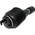 Air Spring Shock and Strut for Toyota 4Runner (Hand)