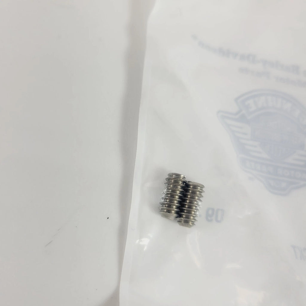 2 Pack Set Screw for Harley Davidson CVO (2000–2005) P/N 3194