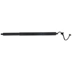 Hatch Lift Supports for Make Model (Driver/Passenger Side)