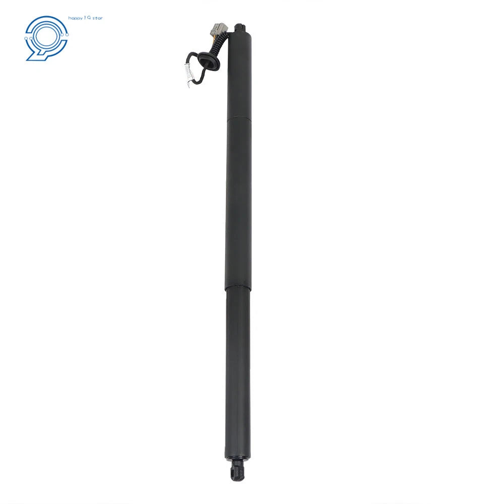 Set of 2 Rear Tailgate Lift Support Struts for Ford Escape (2013-2019)