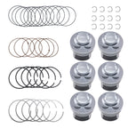 Piston Ring Set for Porsche VW Touareg Audi Q7 3.6L (2006–2017)