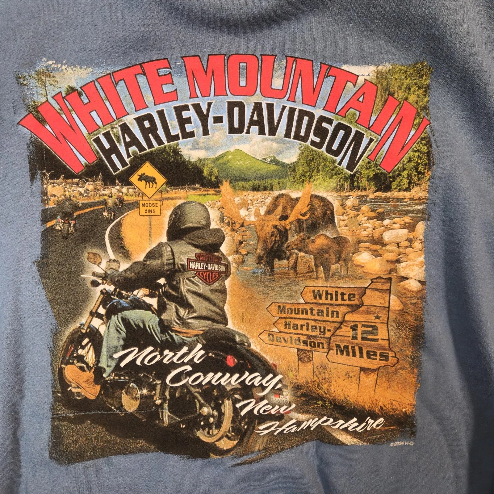 Harley Davidson White Mountain Pullover Sweatshirt for Men (Blue)