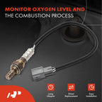 2X O2 Oxygen Sensors for Subaru Outback Legacy