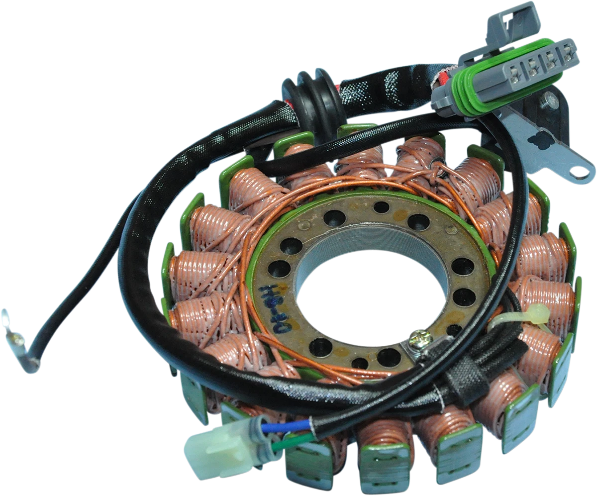 Stator for Rick's Motorsport Electric (21-557)