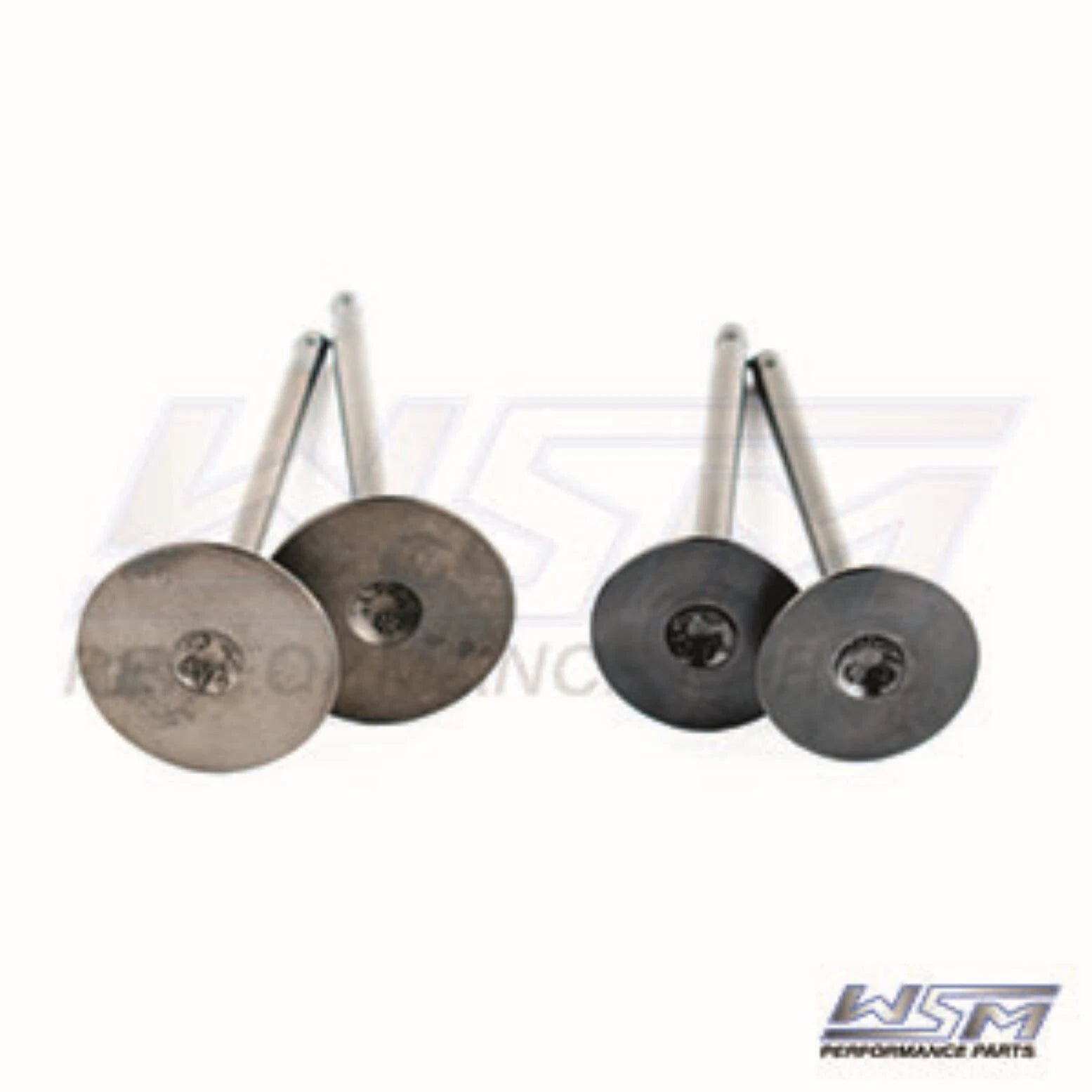 WSM Engine Valve Kit for Polaris Sportsman 550 (2009–2014) - 017-402