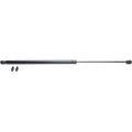 Lift Support Set for Honda Civic (1988–1991) Trunk Lid