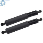 Trunk Strut Shock Set of 2 for Porsche Cayenne (2003–2010) 95551255006