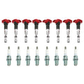 Set of 8 Ignition Coils & NGK Spark Plugs for Audi Volkswagen 4.2L V8