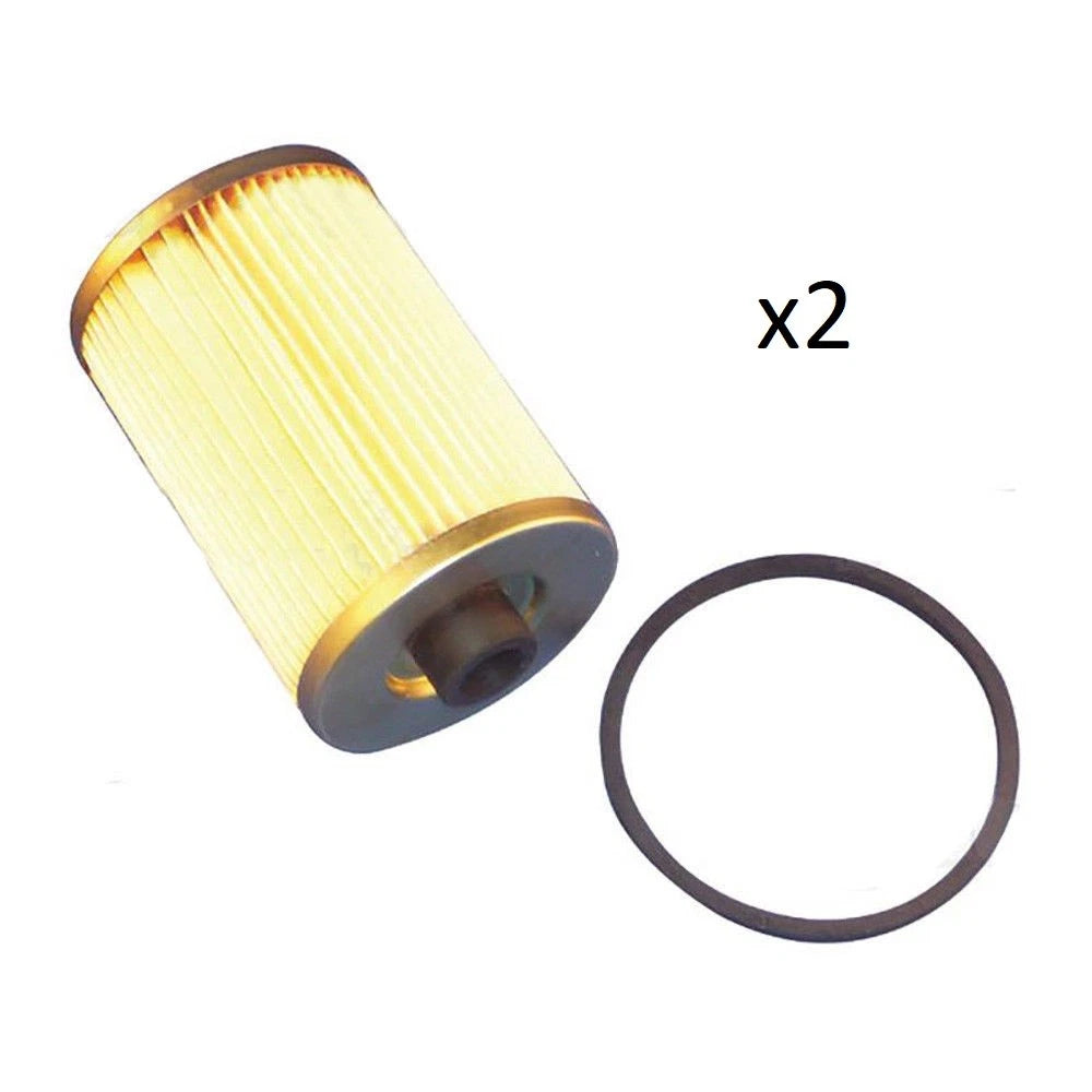 Fuel Filters Set of 2 for Mahindra (001081778R93)