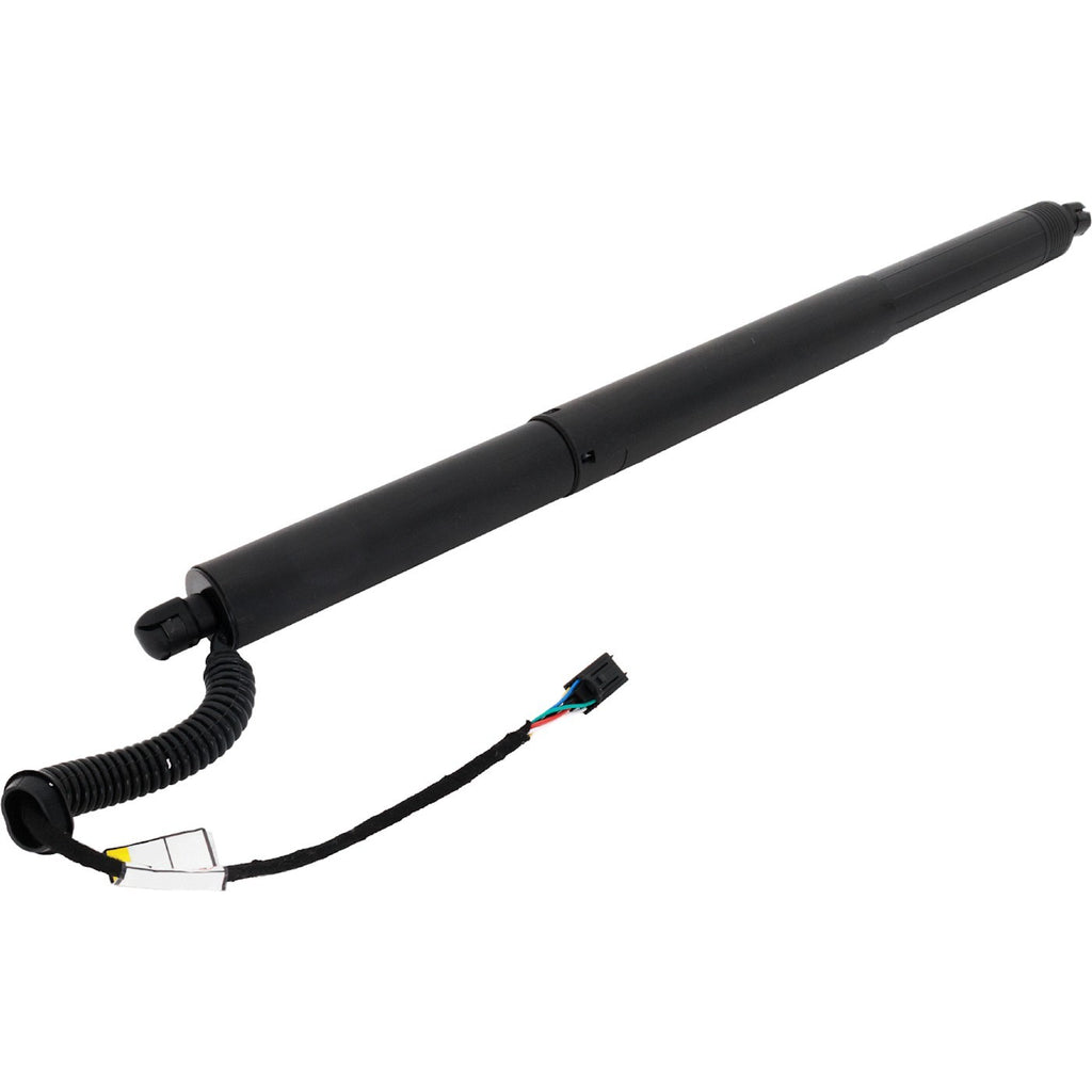 Set of 2 Liftgate Lift Supports for VW (Driver & Passenger Side)