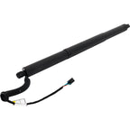 Set of 2 Liftgate Lift Supports for VW (Driver & Passenger Side)