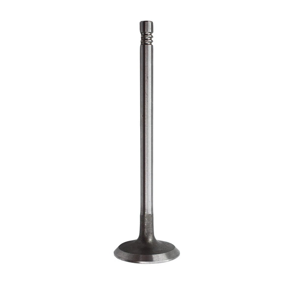 Set of 10 Intake Valves for Volvo C30/70 V50/70 S40/60/70/80 XC70 (2007–2013)