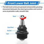 2X Front Lower Ball Joints for Chevrolet Silverado 1500 HD (2001–2003) No.K6693