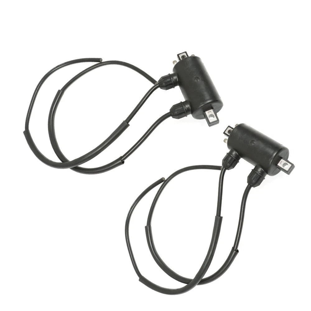 2 Ignition Coils for Honda VT750C VT800C Shadow (1983–1988)