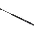 Set of 2 Rear Liftgate Gas Struts for Pontiac Vibe (2003–2005)