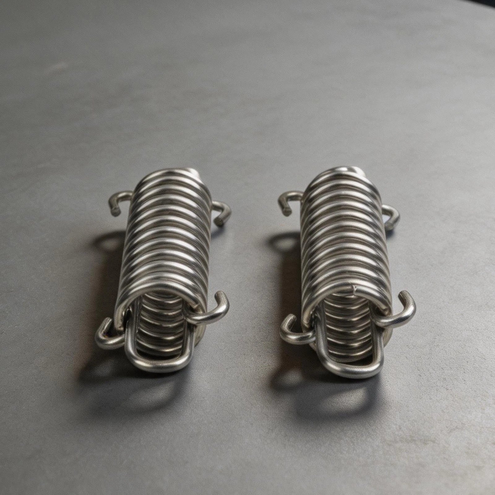 Set of 2 Stainless Steel Spring Buffers for Marine Mooring Yachts