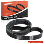 Serpentine Belt for Ford Focus, Mini Cooper, Chrysler, Dodge 