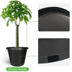 Set of 5 Heavy Duty Black Plastic Nursery Plant Containers