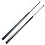 2X Front Hood Lift Supports for Buick Riviera (1995–1999)