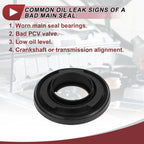 1 Pc Crankshaft Oil Seal with Flange for Peugeot Boxer (2006–2024) No.3S7Q6700AA