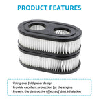 Air Cleaner Filter for 4247, 5432, 5432K (593260, 798452, 334404)
