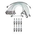 Denso 8mm Wire Set & 8 Platinum TT Spark Plugs Kit for Ford Mercury V8