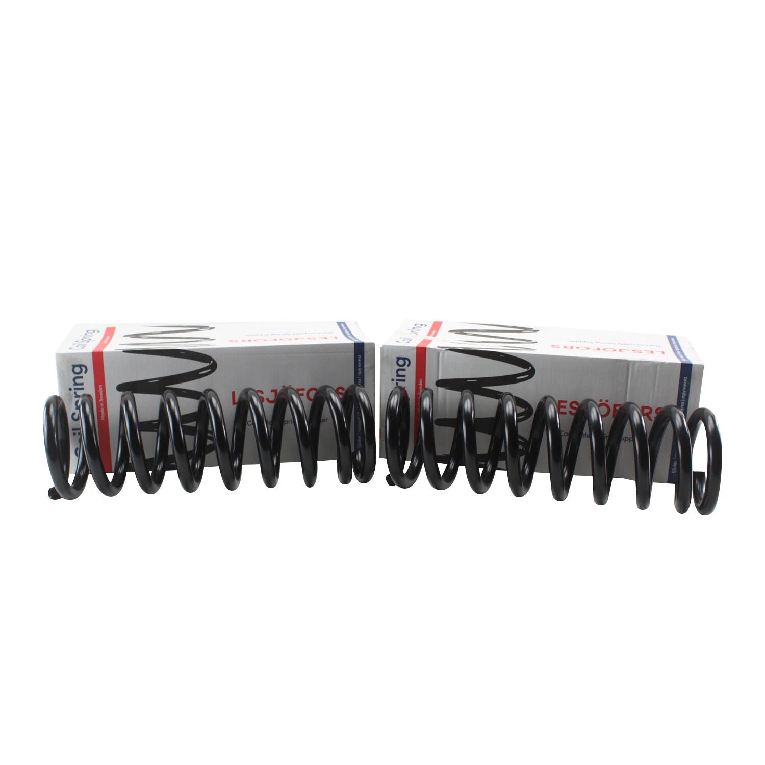 Front Coil Spring Kit for Buick (4112111)