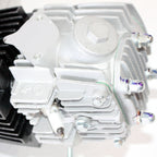 BT 125cc Auto Engine Motor + Wiring Kit + Carby for Quad Dirt Bike ATV