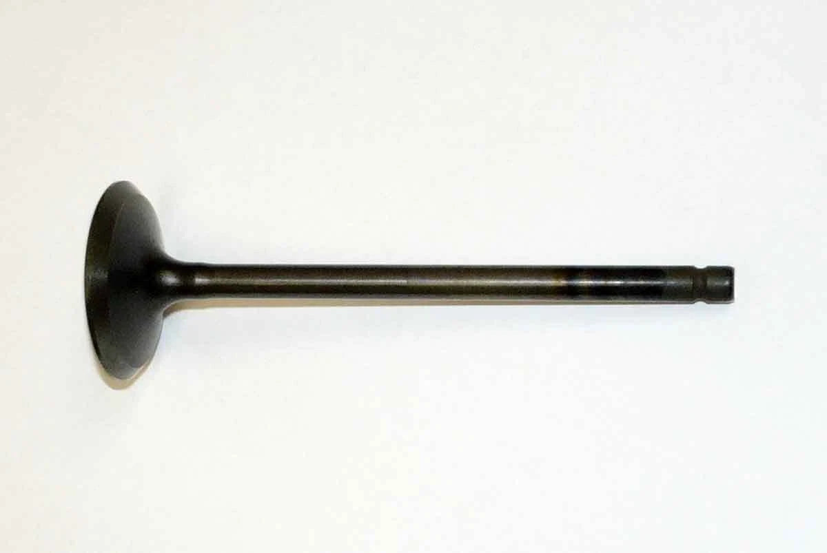 Intake Valve for Yamaha 75-115 HP (1999–2011)