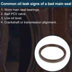 1 Pc Rear Crankshaft Oil Seal for Chevrolet Camaro (No. 12591866)