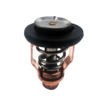 Water Thermostat 50 Deg for Suzuki Outboard (17670-90J20, 17670-90J21)