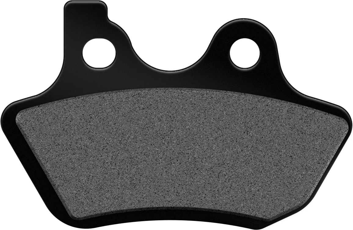 Set of 2 Semi-Sintered Brake Pads for Harley Davidson V-Twin (2000–2007)