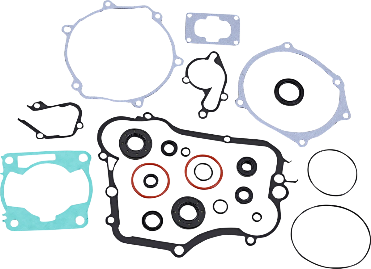 Complete Motor Gasket Kit with Oil Seals for Yamaha (8110026mse)