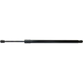 Lift Support for Lincoln Navigator (1998–2002)