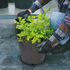 3gal Heavy Duty Black Plastic Nursery Plant Container for Garden (N/A)