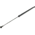 Lift Support Set for Toyota Prius (2004–2015)