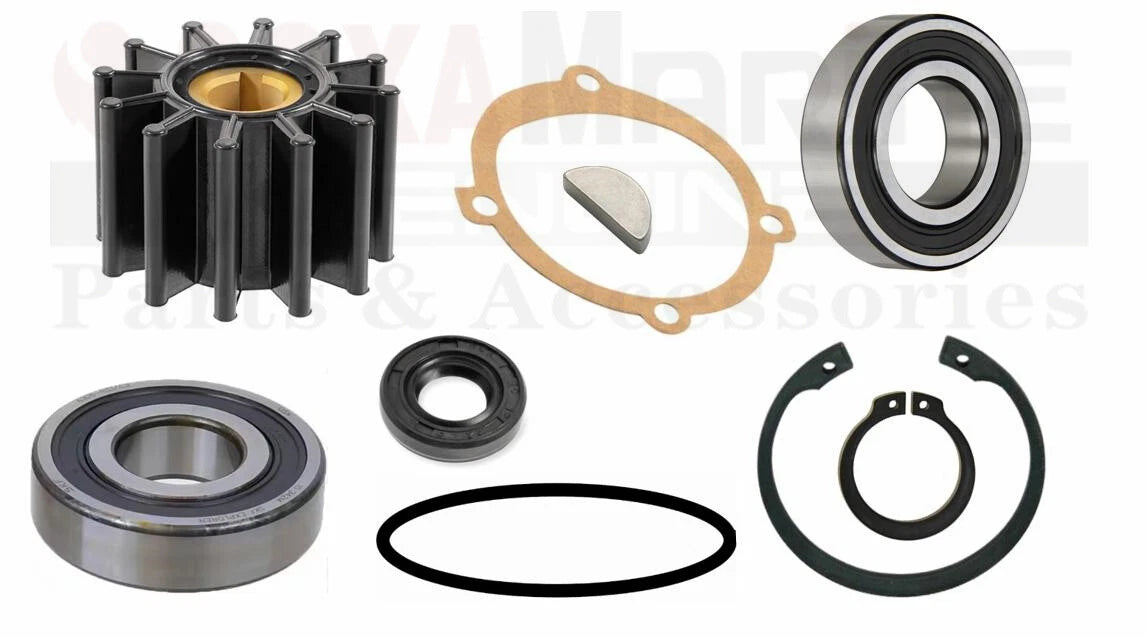 Repair Kit for Sherwood Raw Water Pump D05 D-05 Impeller 10615 (Chris Craft)