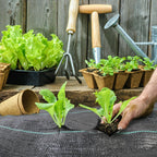 Weed Barrier Fabric for Landscape (3FT x 100FT)