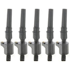 Ignition Coil Set for Ford F-150, F-250 Super Duty, E-350