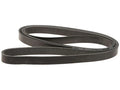 Multi Rib Belt for Jaguar XJ (2010–2013) ZN621CD