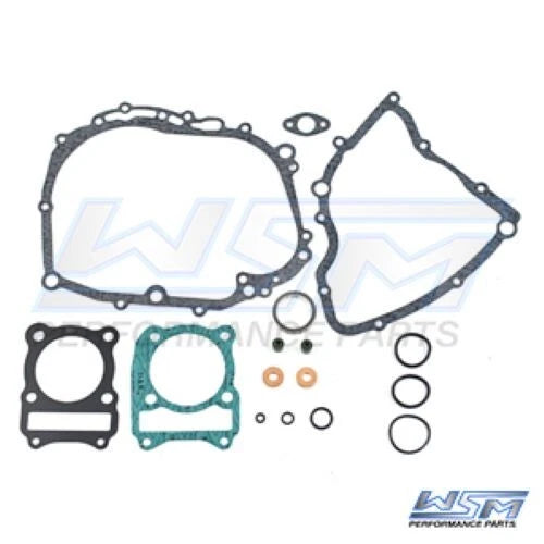 Complete Gasket Kit for WSM 230 LT (1985–1993)