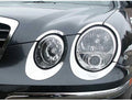 10pc. Luxury FX Stainless Steel Headlight Trim for 2004-2006 Kia Amanti 4DR