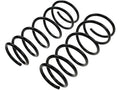 Rear Coil Spring Set for Mazda Protege Sedan (1999–2003) NV759DW