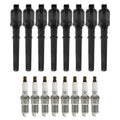 Set of 8 Ignition Coils & Spark Plugs for Ford Mustang GT V8 (2005–2014)