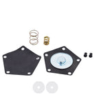 Fuel Oil Pump Rebuild Kit for Suzuki King Quad 300 (1996–2002)