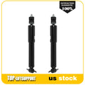 Set of 2 Front Shocks for Dodge Ram 1500 Pickup 2WD (2002–2008)