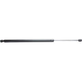 Lift Support Set for Nissan Armada (2005–2009)