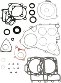 Motor Gasket Kit with Oil Seal for Kawasaki (811881MSE)