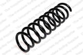Rear Coil Spring for BMW (4208442)